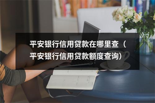 平安银行信用贷款在哪里查（平安银行信用贷款额度查询）