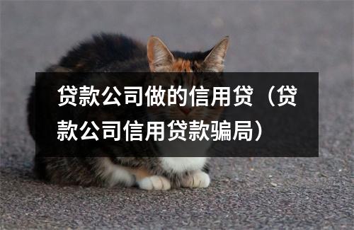 贷款公司做的信用贷（贷款公司信用贷款骗局）