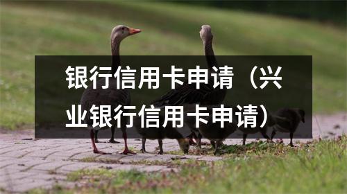 银行信用卡申请（兴业银行信用卡申请）