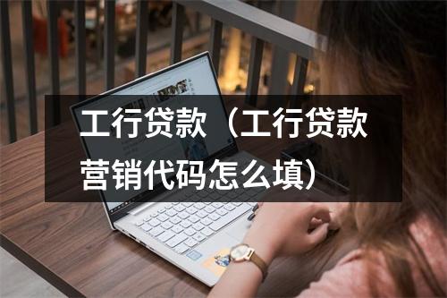 工行贷款（工行贷款营销代码怎么填）
