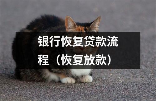 银行恢复贷款流程（恢复放款）