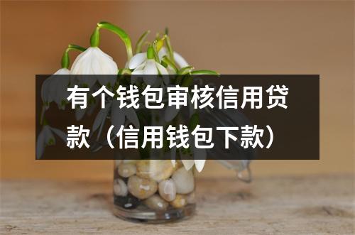 有个钱包审核信用贷款（信用钱包下款）
