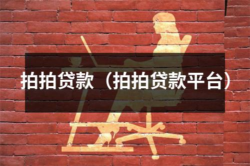 拍拍贷款（拍拍贷款平台）