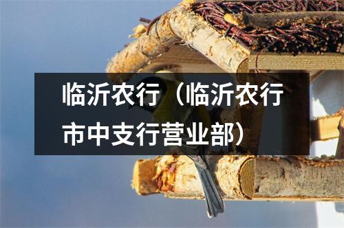 临沂农行（临沂农行市中支行营业部）