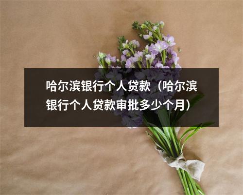 哈尔滨银行个人贷款（哈尔滨银行个人贷款审批多少个月）
