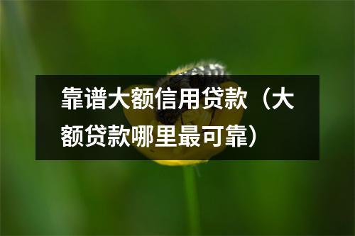 靠谱大额信用贷款（大额贷款哪里最可靠）