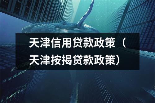 天津信用贷款政策（天津按揭贷款政策）
