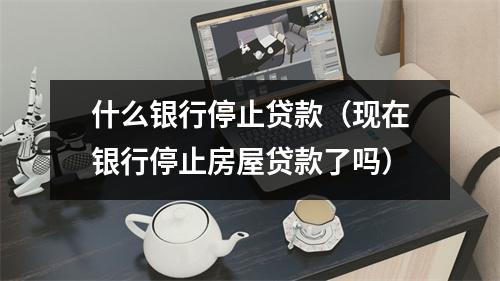 什么银行停止贷款（现在银行停止房屋贷款了吗）