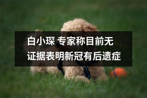 白小琛 专家称目前无证据表明新冠有后遗症