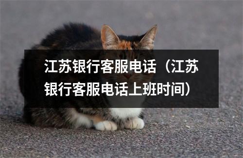 江苏银行客服电话（江苏银行客服电话上班时间）