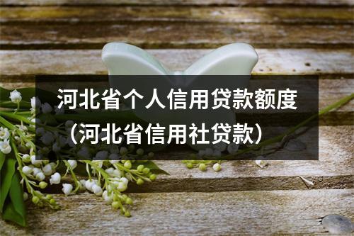 河北省个人信用贷款额度（河北省信用社贷款）