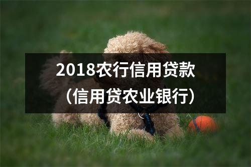 2018农行信用贷款（信用贷农业银行）