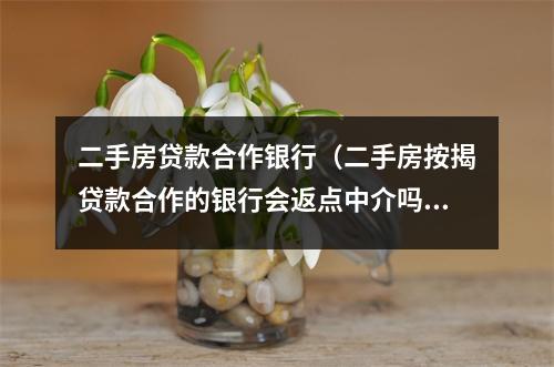 二手房贷款合作银行（二手房按揭贷款合作的银行会返点中介吗）