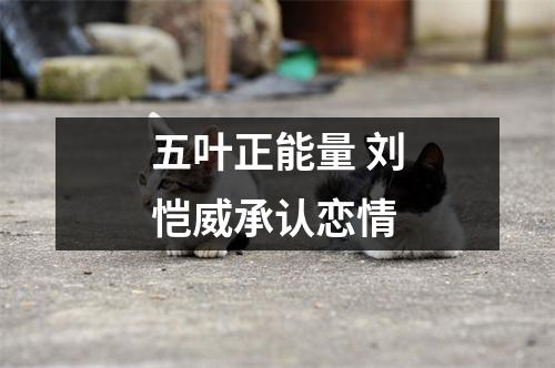 五叶正能量 刘恺威承认恋情