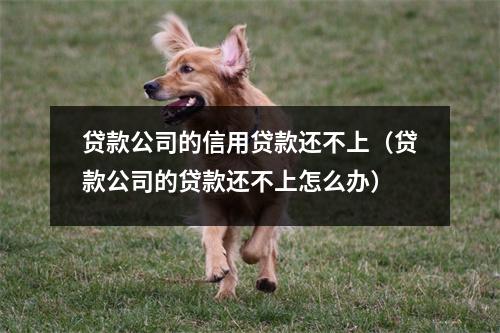 贷款公司的信用贷款还不上（贷款公司的贷款还不上怎么办）