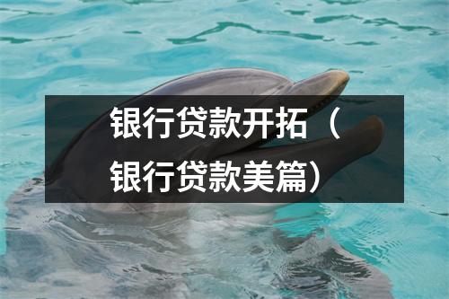 银行贷款开拓（银行贷款美篇）
