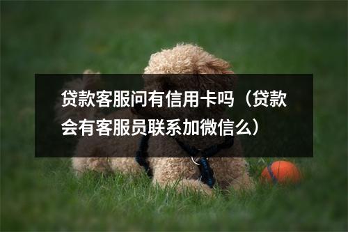 贷款客服问有信用卡吗（贷款会有客服员联系加微信么）