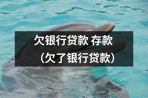 欠银行贷款 存款（欠了银行贷款）