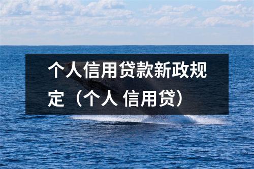 个人信用贷款新政规定(个人 信用贷)