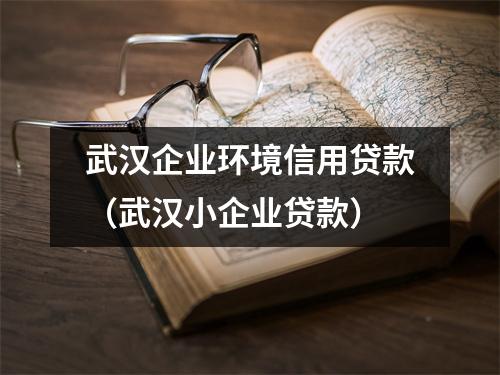 武汉企业环境信用贷款（武汉小企业贷款）