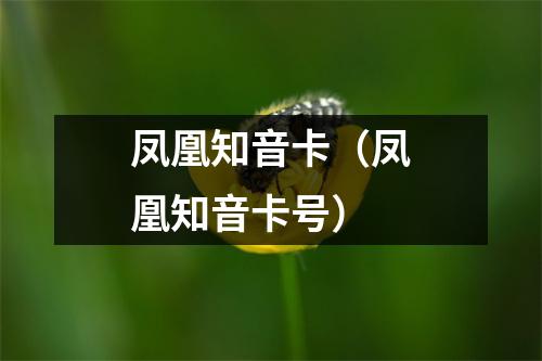 凤凰知音卡（凤凰知音卡号）