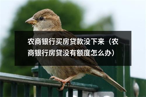 农商银行买房贷款没下来（农商银行房贷没有额度怎么办）