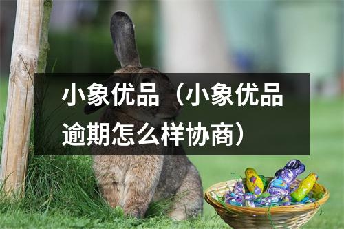 小象优品（小象优品逾期怎么样协商）