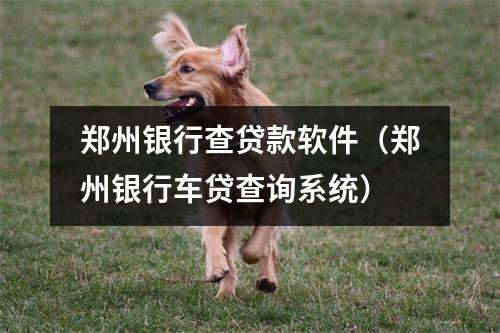 郑州银行查贷款软件（郑州银行车贷查询系统）