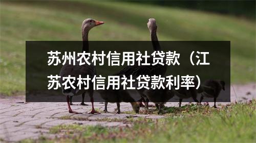 苏州农村信用社贷款（江苏农村信用社贷款利率）