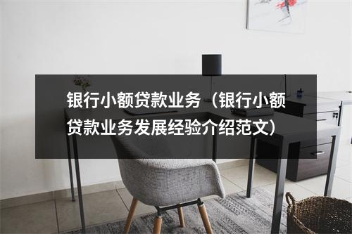 银行小额贷款业务（银行小额贷款业务发展经验介绍范文）
