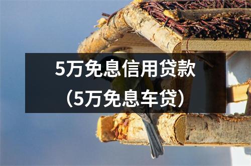 5万免息信用贷款（5万免息车贷）