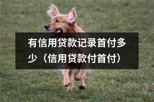 有信用贷款记录首付多少（信用贷款付首付）