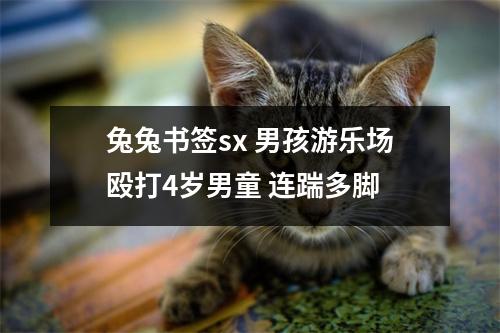 兔兔书签sx 男孩游乐场殴打4岁男童 连踹多脚