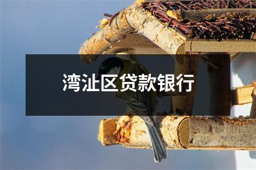 湾沚区贷款银行