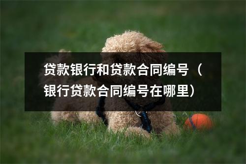 贷款银行和贷款合同编号（银行贷款合同编号在哪里）