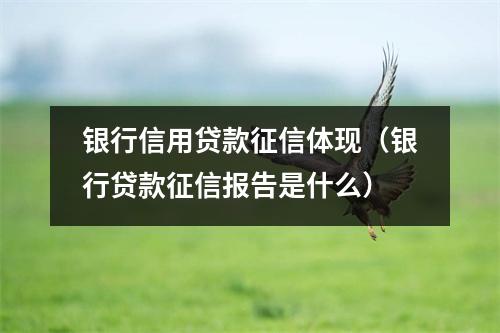 银行信用贷款征信体现（银行贷款征信报告是什么）