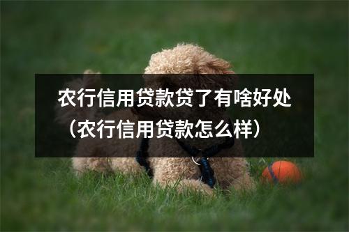 农行信用贷款贷了有啥好处（农行信用贷款怎么样）