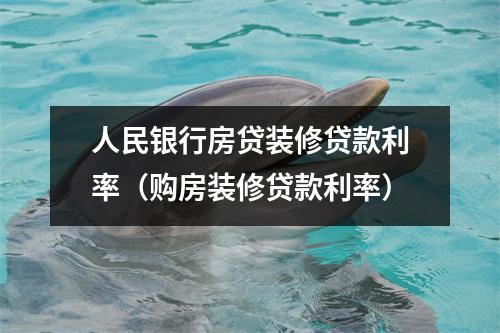 人民银行房贷装修贷款利率（购房装修贷款利率）