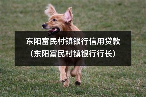 东阳富民村镇银行信用贷款（东阳富民村镇银行行长）