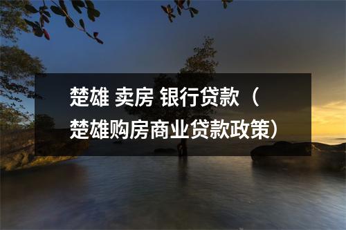 楚雄 卖房 银行贷款（楚雄购房商业贷款政策）