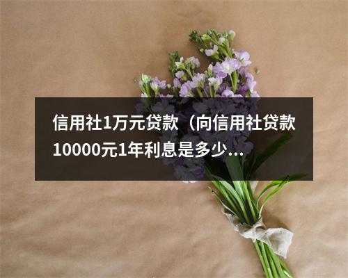信用社1万元贷款（向信用社贷款10000元1年利息是多少）