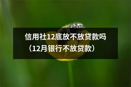 信用社12底放不放贷款吗(12月银行不放贷款)
