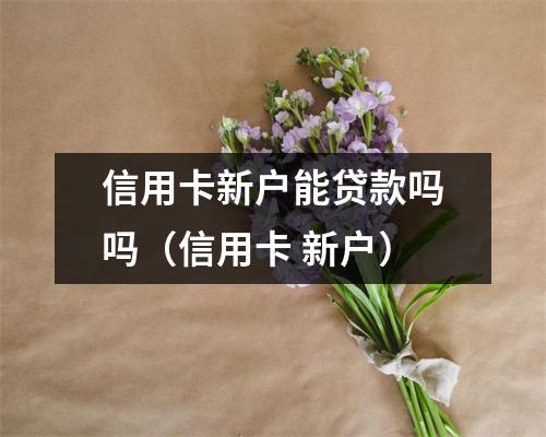 信用卡新户能贷款吗吗（信用卡 新户）