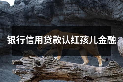 银行信用贷款认红孩儿金融