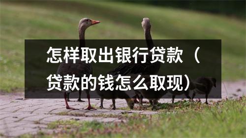 怎样取出银行贷款（贷款的钱怎么取现）