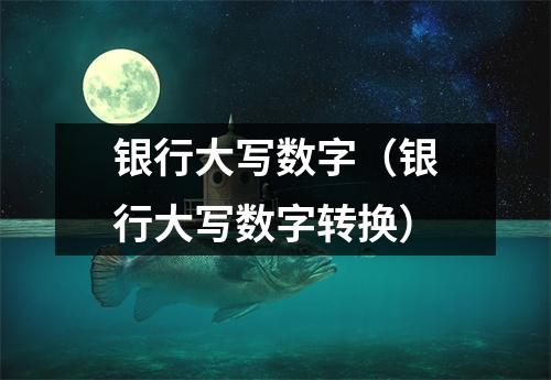 银行大写数字（银行大写数字转换）