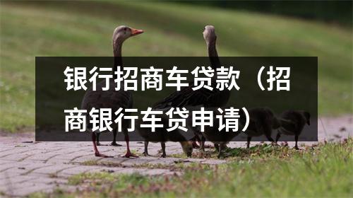 银行招商车贷款（招商银行车贷申请）