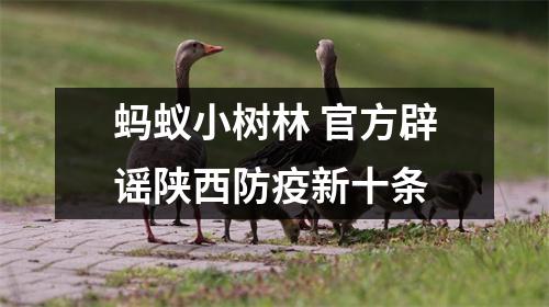 蚂蚁小树林 官方辟谣陕西防疫新十条