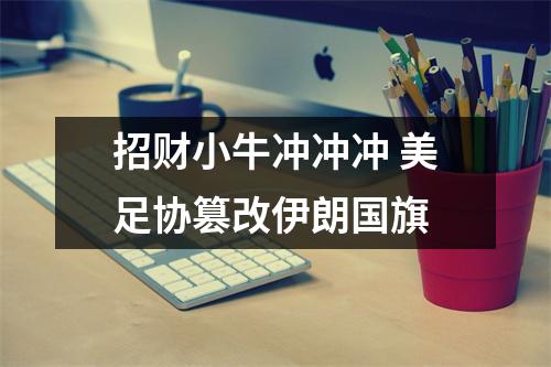 招财小牛冲冲冲 美足协篡改伊朗国旗