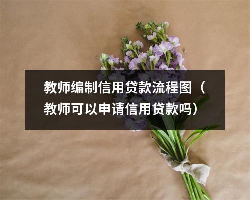 教师编制信用贷款流程图(教师可以申请信用贷款吗)